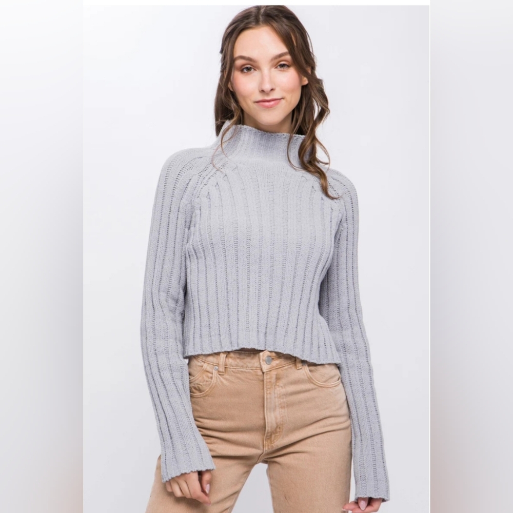 American Eagle Outfitters High Neck Pullover Sweater